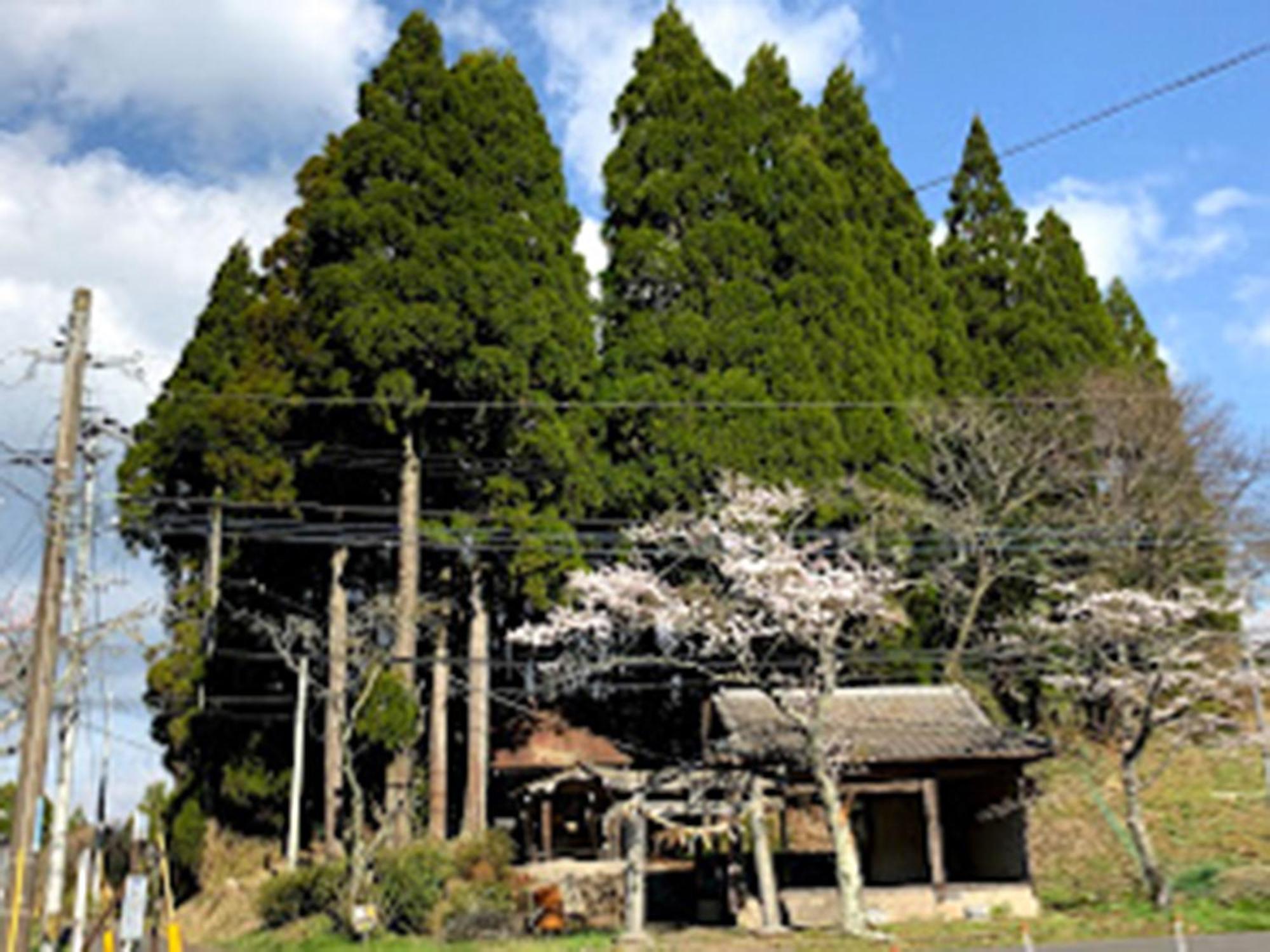 Guesthouse Kurihai Oita Zewnętrze zdjęcie